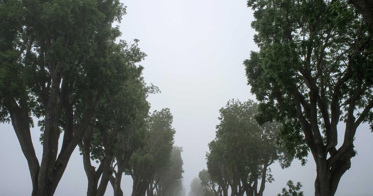 2026 : Les Marchés Qui Vont Exploser