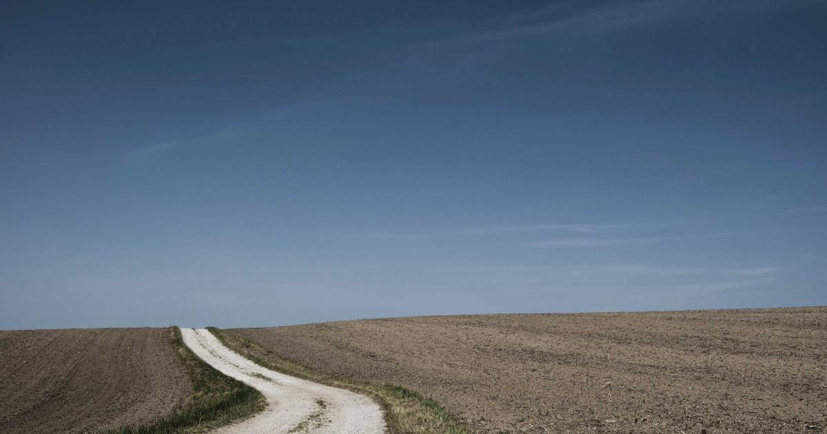 Guide des Cas d'Usage IA qui Génèrent un ROI Mesurable en Entreprise