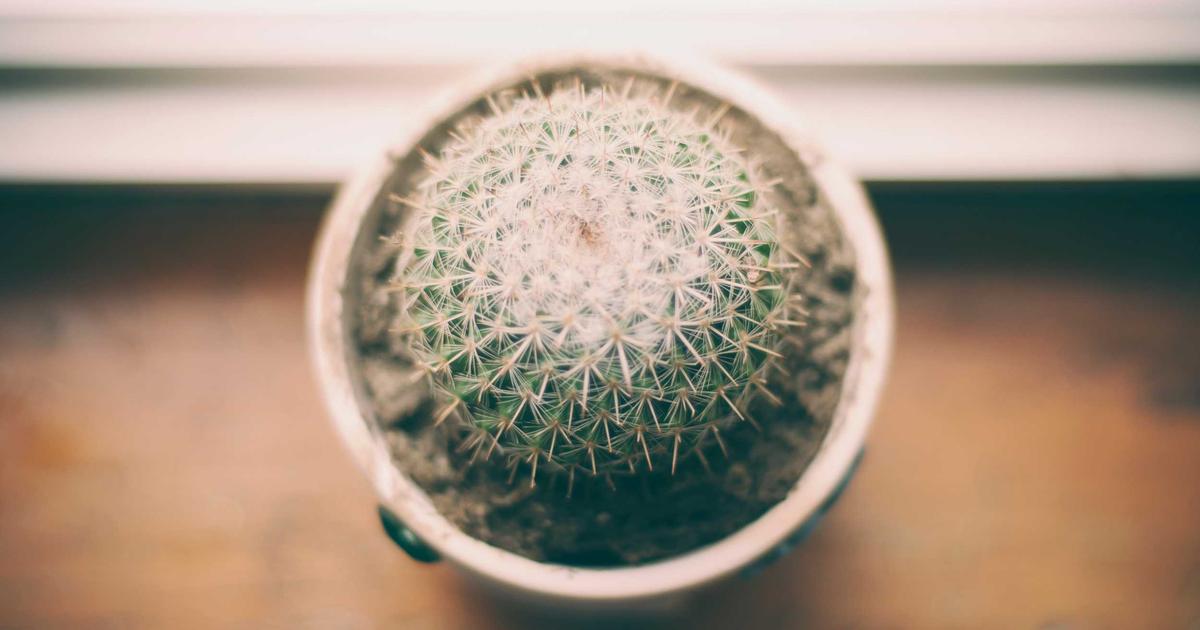 Strategie data-driven : passer de l'intuition aux faits